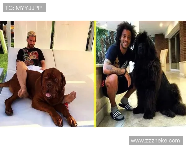 足球球星宠物狗大曝光，引发网友热议